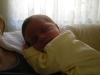 DSCN0600