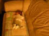 DSCN0754