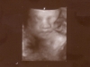 2009-01-09_30.hafta_yuz_01_sb